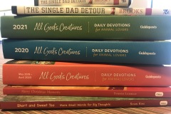 MyBooksStacked2020
